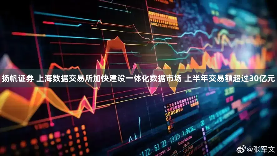 扬帆证券 上海数据交易所加快建设一体化数据市场 上半年交易额超过30亿元