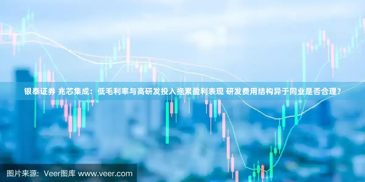 银泰证券 兆芯集成：低毛利率与高研发投入拖累盈利表现 研发费用结构异于同业是否合理？