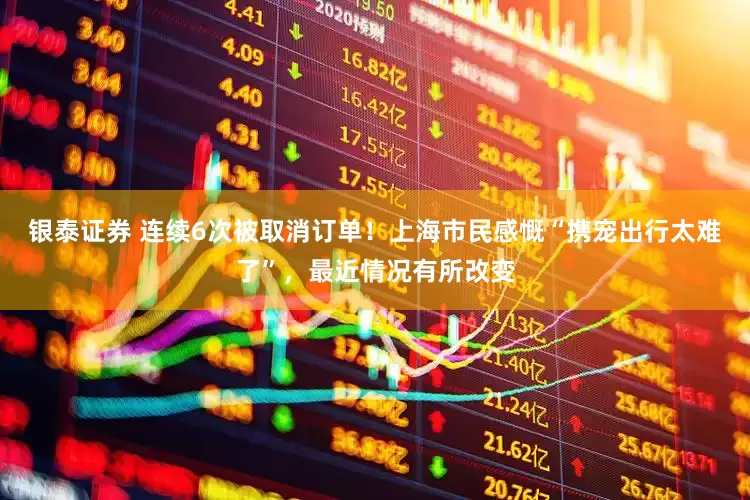 银泰证券 连续6次被取消订单！上海市民感慨“携宠出行太难了”，最近情况有所改变