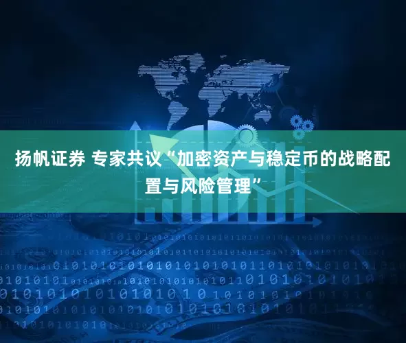 扬帆证券 专家共议“加密资产与稳定币的战略配置与风险管理”