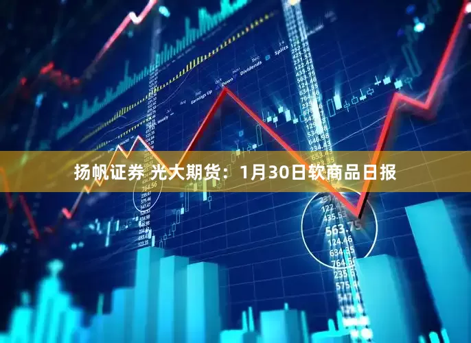 扬帆证券 光大期货：1月30日软商品日报